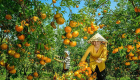 Begin your visa-prepared day with Vietnam’s tranquil ambiance